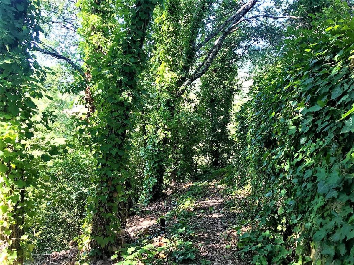 Danya Country Villa Sansepolcro Luaran gambar