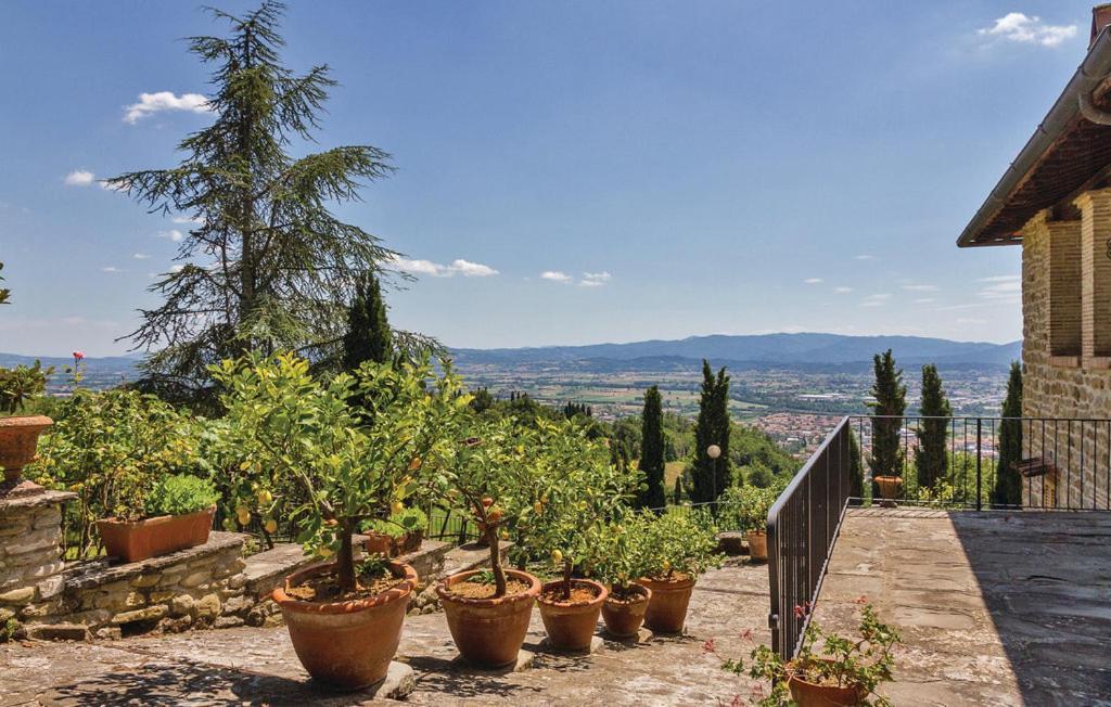 Danya Country Villa Sansepolcro Luaran gambar